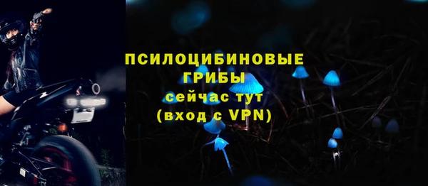прущий лед Арсеньев