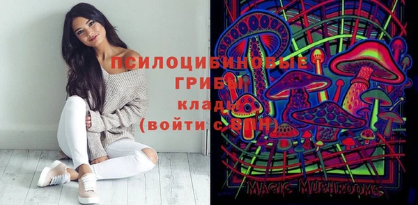 прущий лед Арсеньев