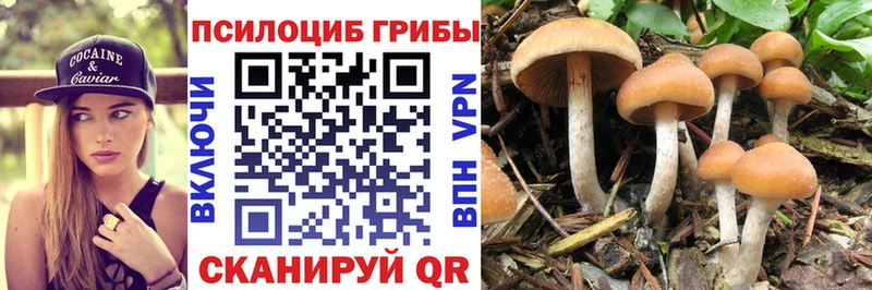 Псилоцибиновые грибы GOLDEN TEACHER  Ахтубинск 