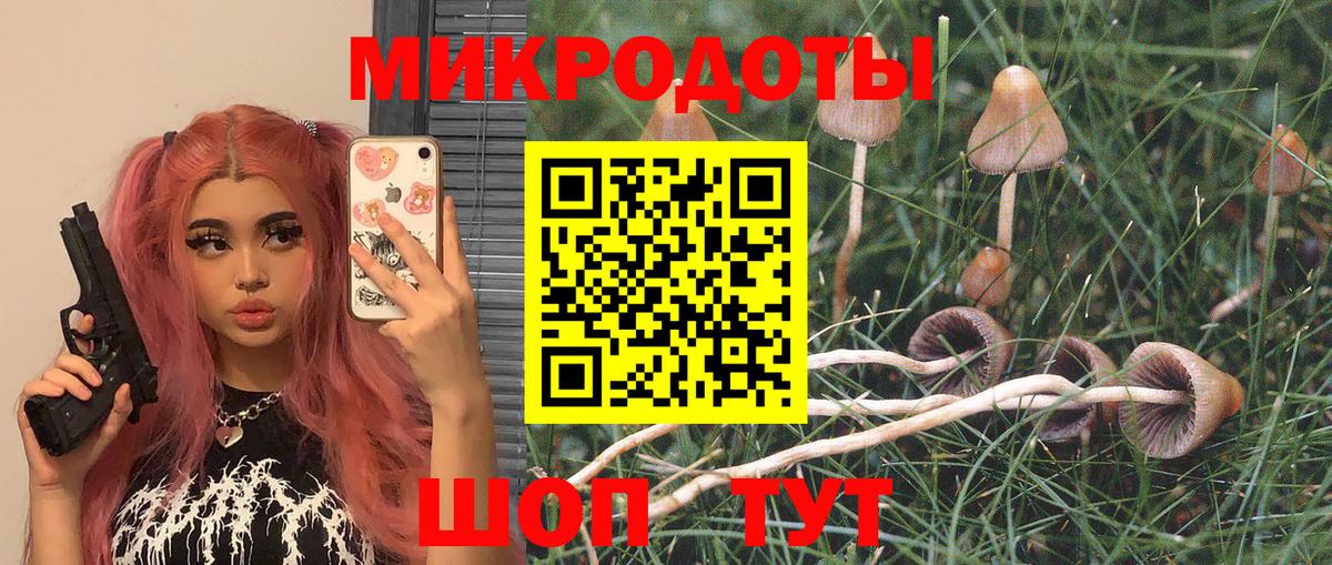 Псилоцибиновые грибы мицелий  Псилоцибиновые грибы ЛСД  Вход с VPN  Ахтубинск 