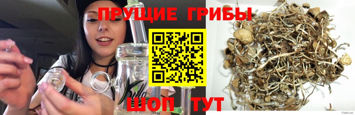Галлюциногенные грибы MAGIC MUSHROOMS Ахтубинск