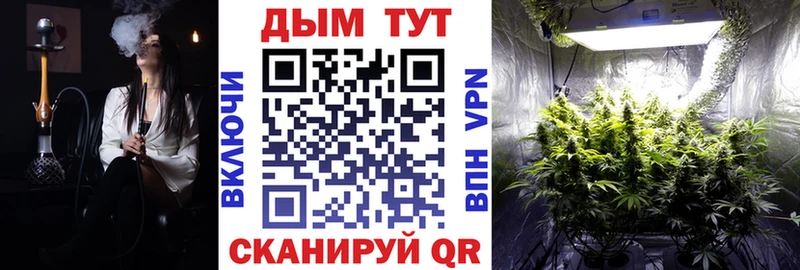 Бошки марихуана сатива  Ахтубинск 