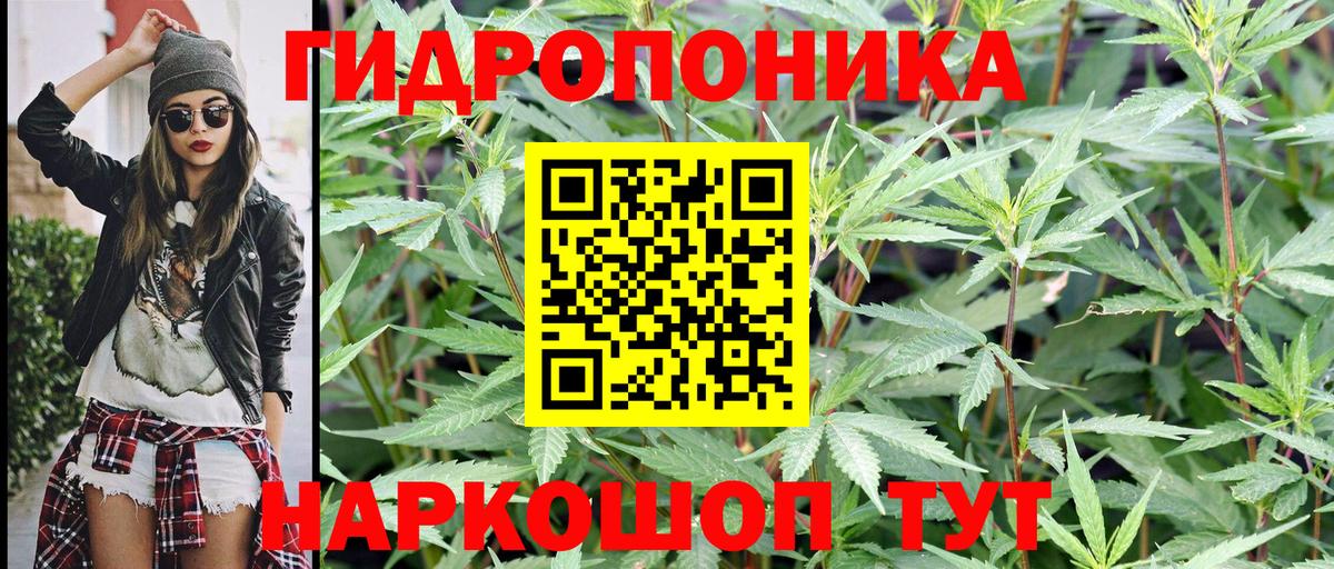 Конопля Bruce Banner Ахтубинск